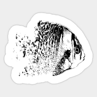 Fish Sticker